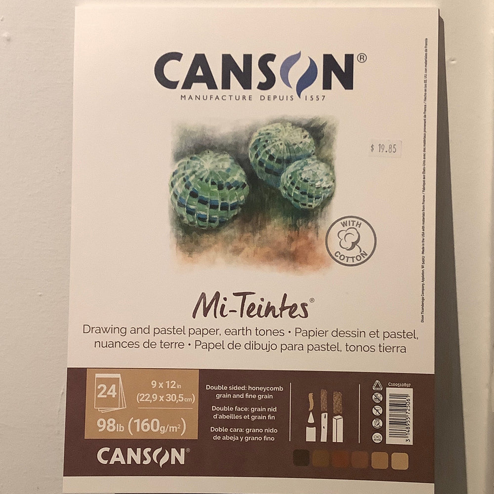 Canson Mi-Teintes Pastel Paper Pad  - 9"x12" earth tones