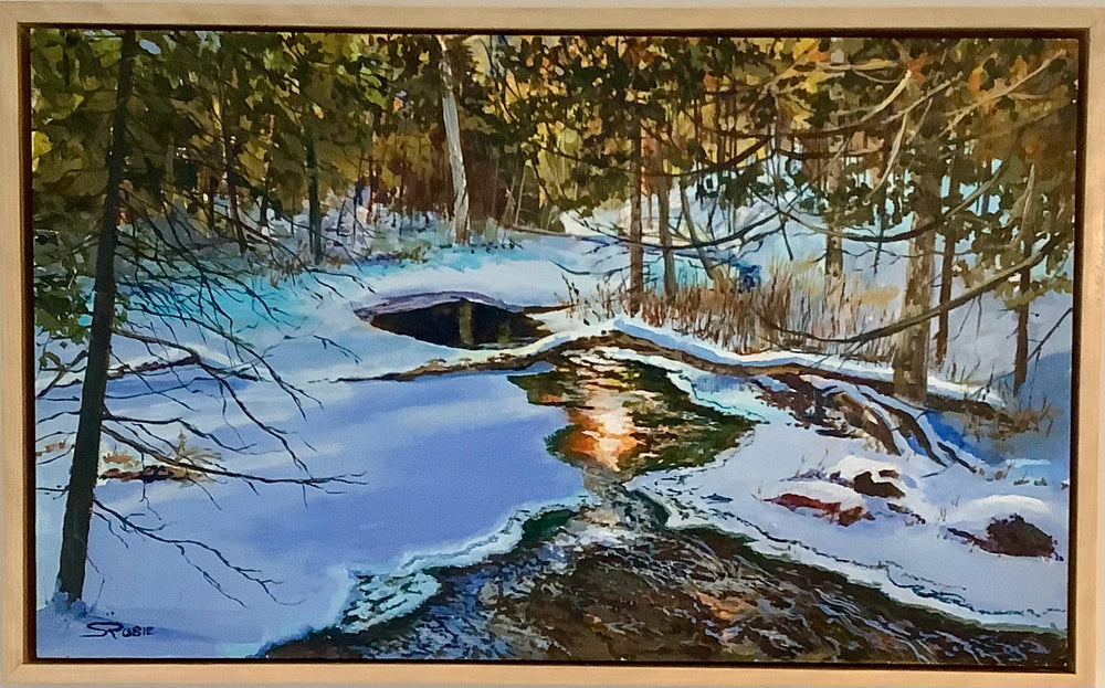 REFLECTIONS ON FALLINGBROOK By Scott Rubie