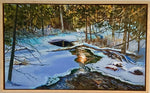 REFLECTIONS ON FALLINGBROOK By Scott Rubie